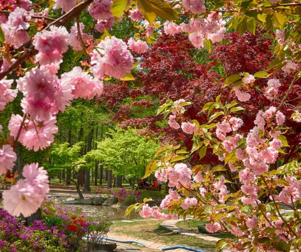 activity_detail_image