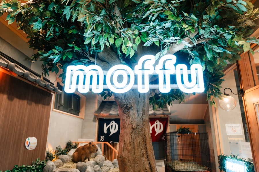 도쿄 하라주쿠 카피바라 카페 Moffu