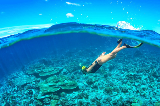 From Da Nang/Hoi An: Cham Island Snorkeling & Seawalking Tour