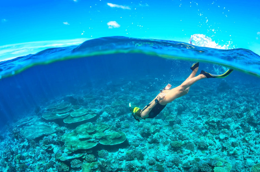 다낭/호이안 출발: 참섬 스노클링 & 씨워킹 체험 투어