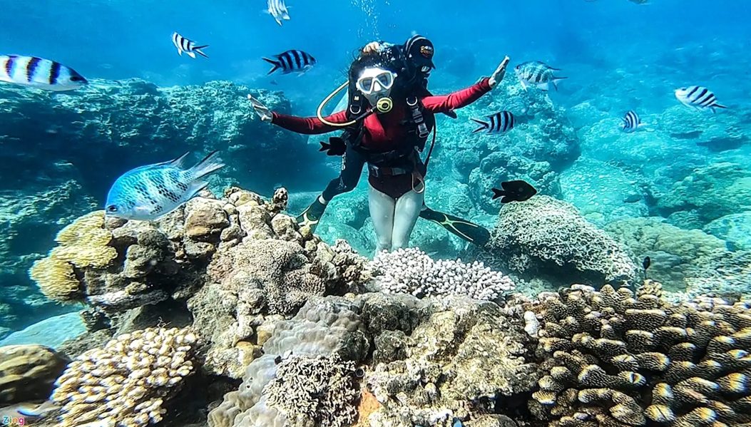 다낭/호이안 출발: 참섬 스피드보트 스노클링 투어