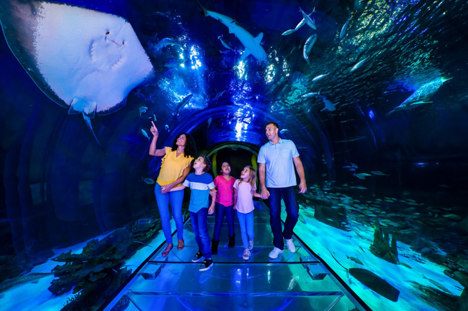 SEA LIFE Orlando Aquarium Ticket
