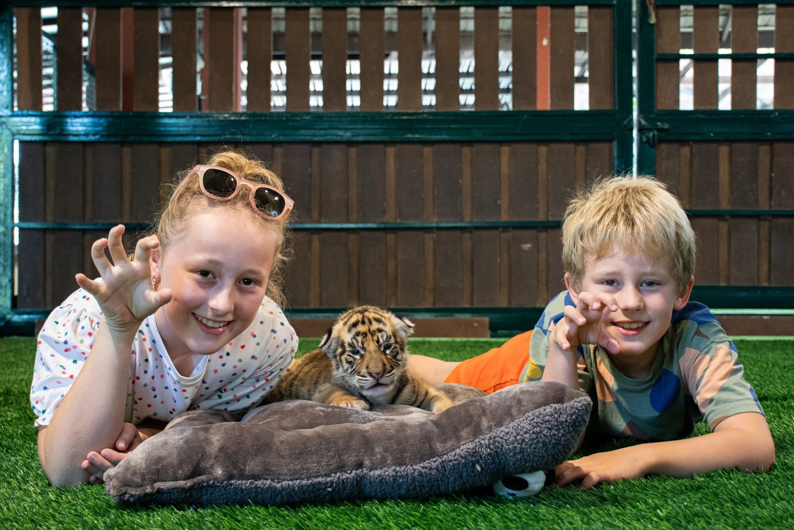 Chiang Mai Animal Kids Tour