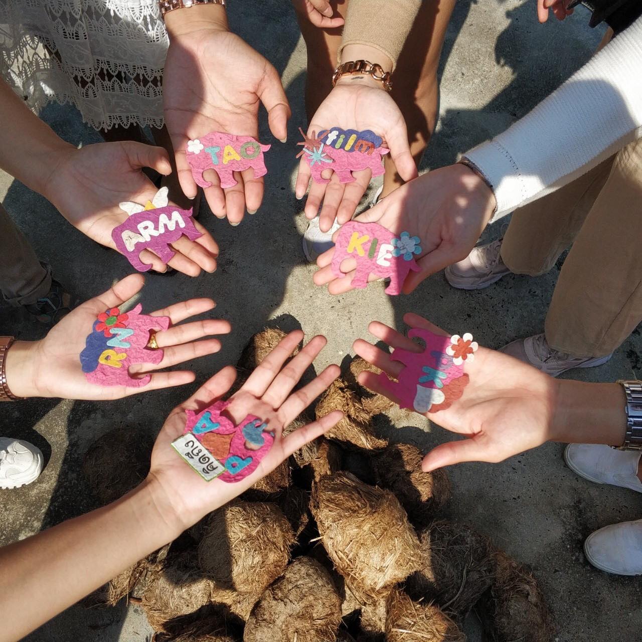 Chiang Mai Animal Kids Tour