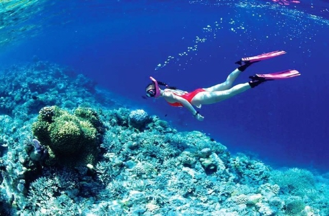 ニャチャン・ホンタム島・コーラルリーフ・ホッピングツアー＆マッド温泉体験