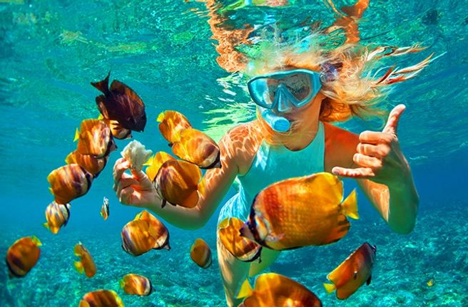 Nha Trang: Hon Tam Island Coral Reef Hopping Tour & Mud Spa Experience