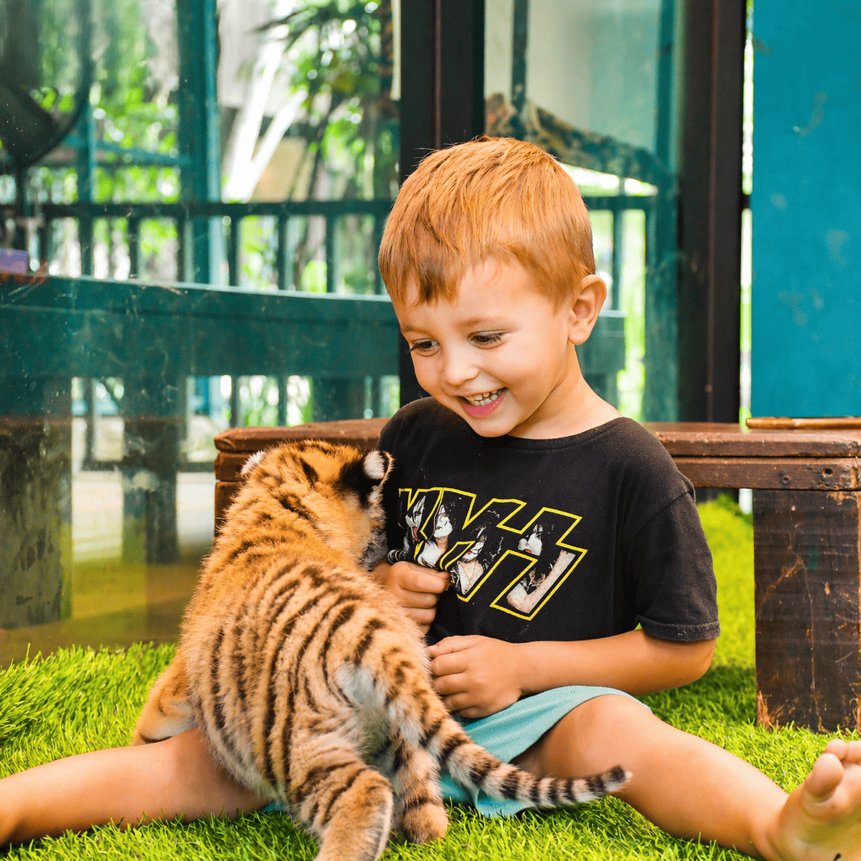 치앙마이 애니멀 키즈 투어