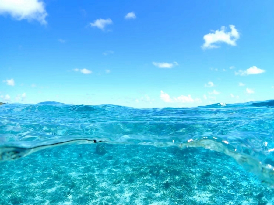 Miyakojima Sea Turtle & Coral Reef Snorkeling Tour (Free Pickup & Sending Included)