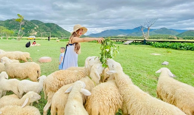 나트랑 출발: 판랑 사막 지프 단독 투어 (선라이즈, 데이, 선셋 선택 가능)
