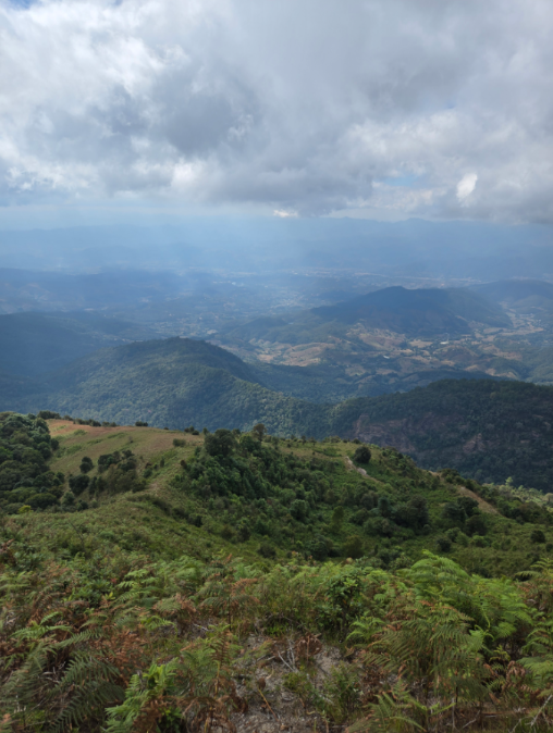 [독점할인] 치앙마이 도이인타논 국립공원 & 2시간 트래킹 탐험 투어