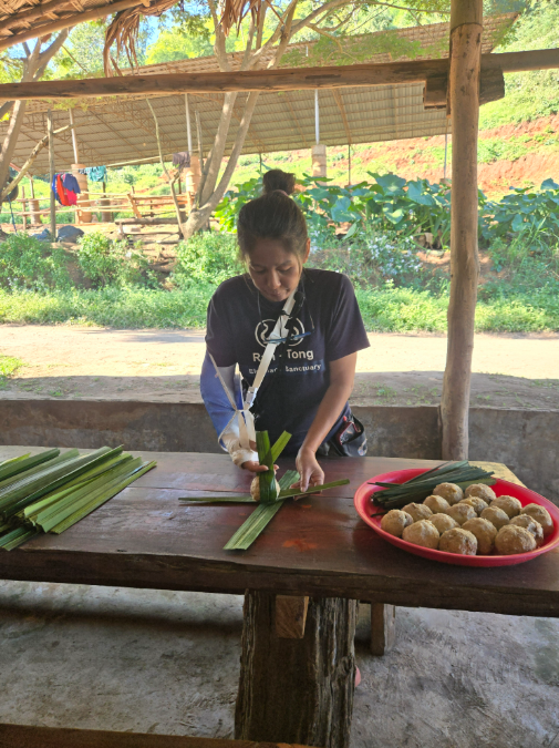 [독점할인] 치앙마이 코끼리 생츄어리 투어 - 코끼리는 내 친구