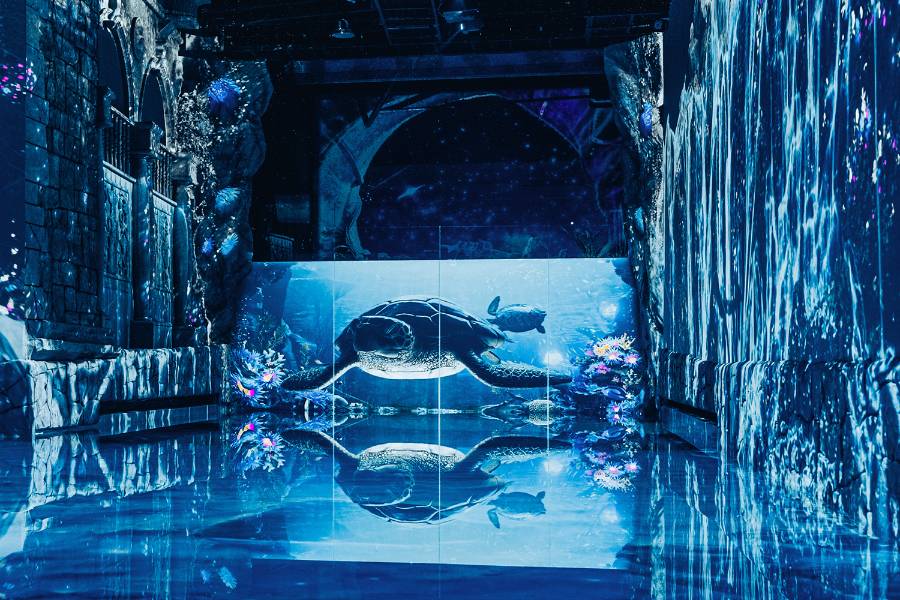 워터월드 제주 입장권