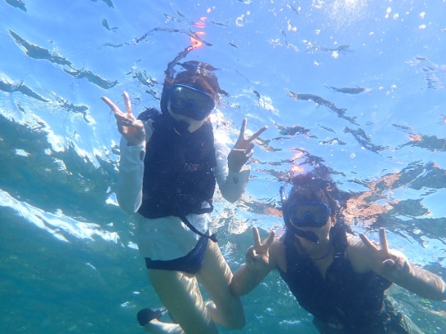 [독점할인] 이시가키 푸른 동굴&환상의 섬 스노클링 투어