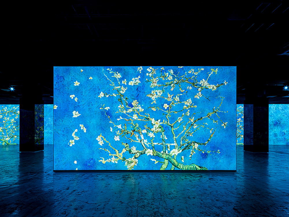 제주 빛의 벙커 반 고흐, 별이 빛나는 밤 전시