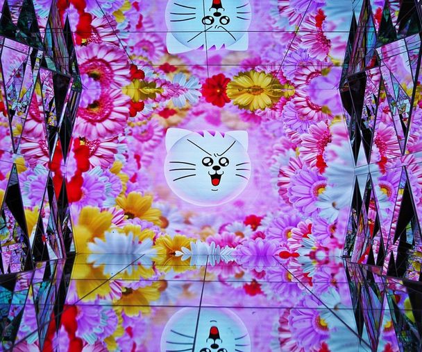 activity_detail_image