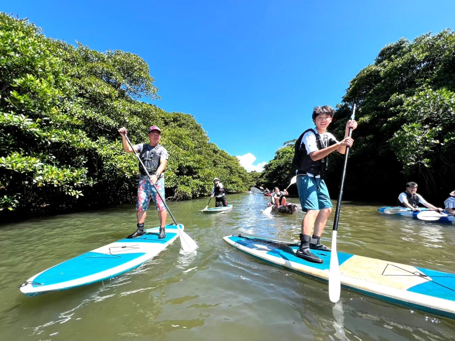 [Exclusive Discount] Ishigaki Mangrove SUP/Canoe & Blue Cave Snorkeling Tour