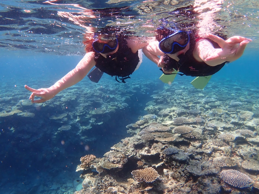 [Exclusive Discount] Ishigaki Mangrove SUP/Canoe & Blue Cave Snorkeling Tour