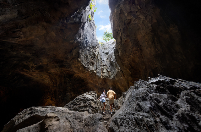 Singapore Rainforest Wild Asia Ticket - Mandai Wildlife Reserve