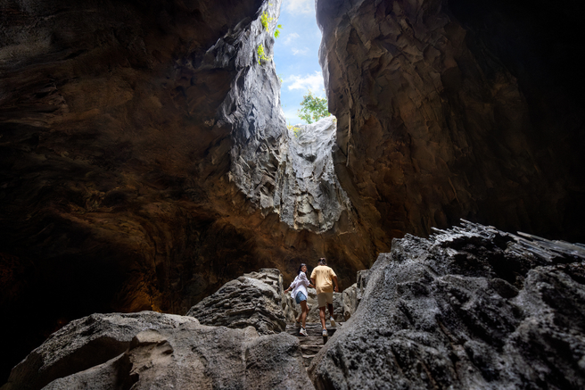 Singapore Rainforest Wild Asia Ticket - Mandai Wildlife Reserve