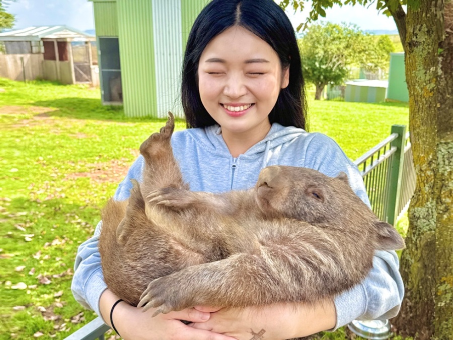 [지그재그투어] 시드니 서던 하이랜드 + 타랄가 동물원 투어 (웜뱃안기 체험)
