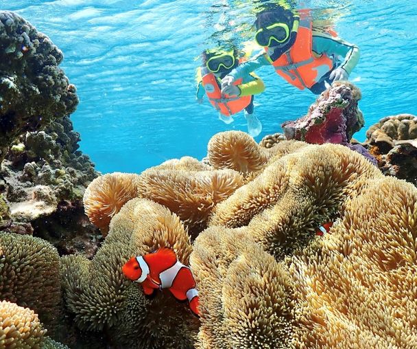 activity_detail_image