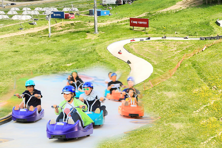 강원 평창 모나용평리조트 루지 이용권