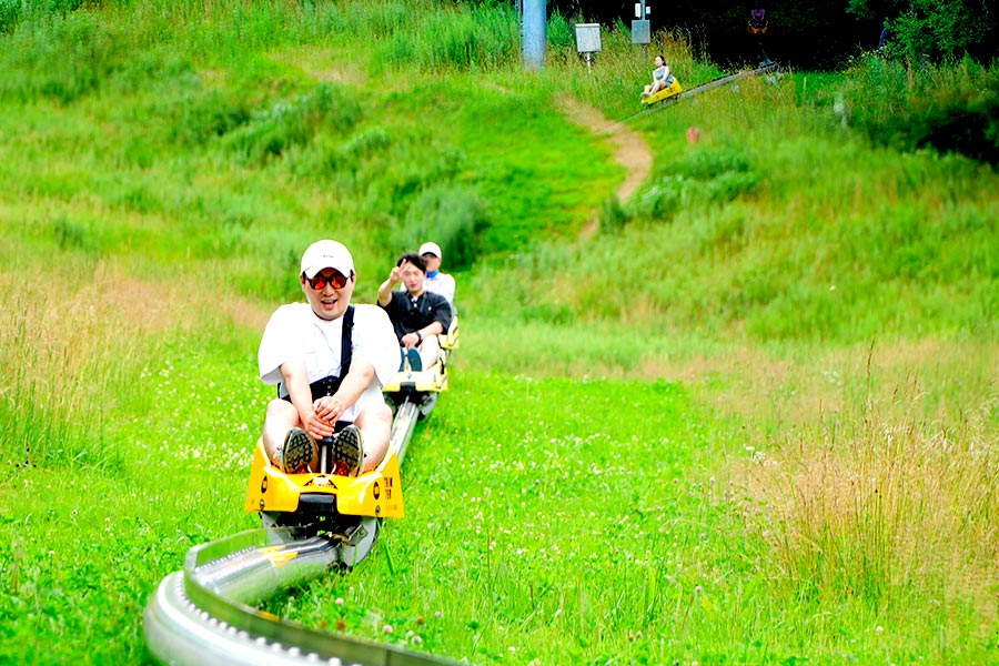 강원 평창 모나용평리조트 마운틴코스터 이용권