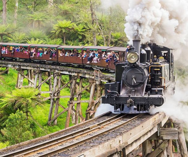 activity_detail_image