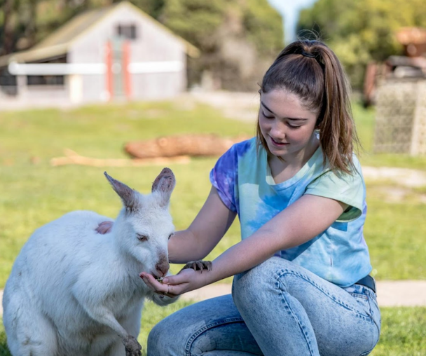 activity_detail_image