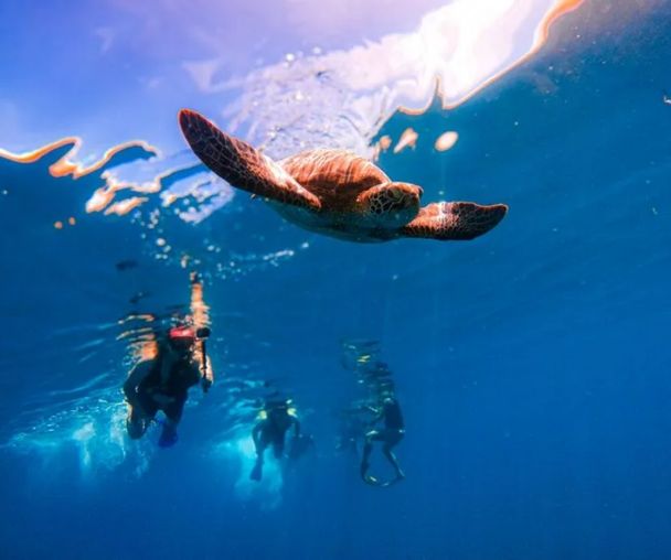 activity_detail_image