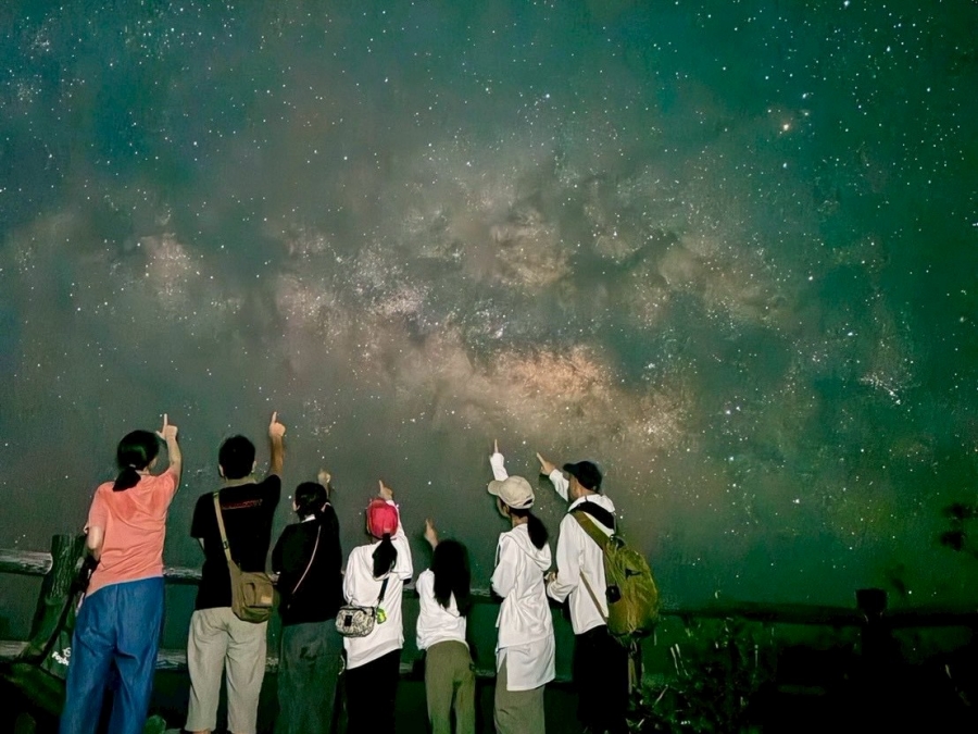 미야코지마 별빛 정글 나이트 투어