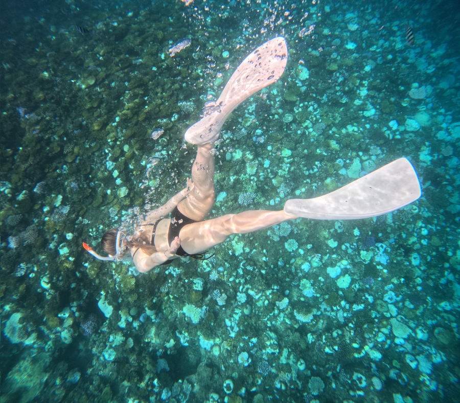Onna Village Departure: Okinawa Blue Cave Boat Snorkeling / Discovery Scuba Diving / Free Diving Tour