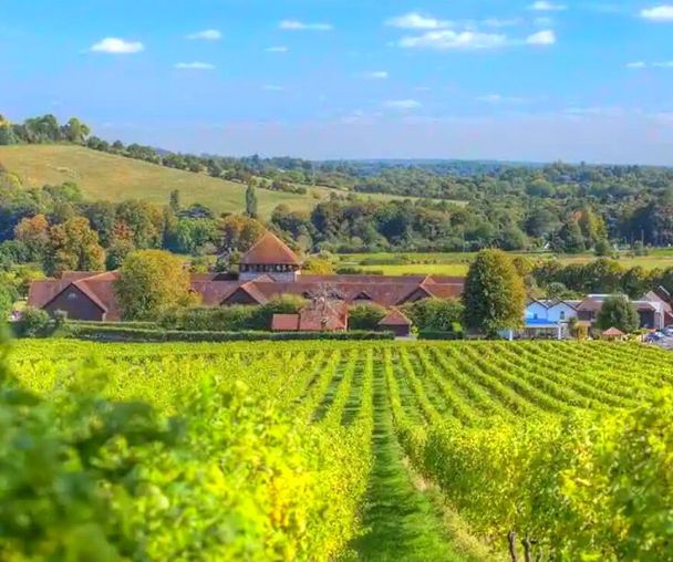 activity_detail_image