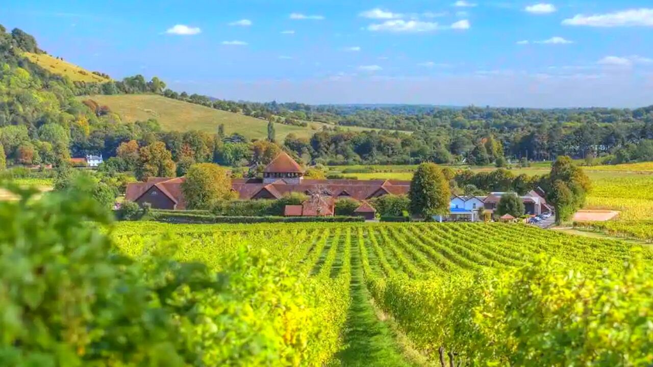 기차 타고 떠나는 런던 근교 써리힐즈 힐링 단독 투어 (박스힐 하이킹, 덴비스 와이너리)