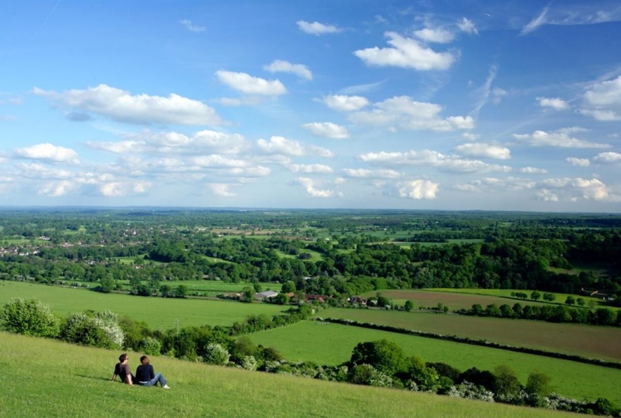 기차 타고 떠나는 런던 근교 써리힐즈 힐링 단독 투어 (박스힐 하이킹, 덴비스 와이너리)