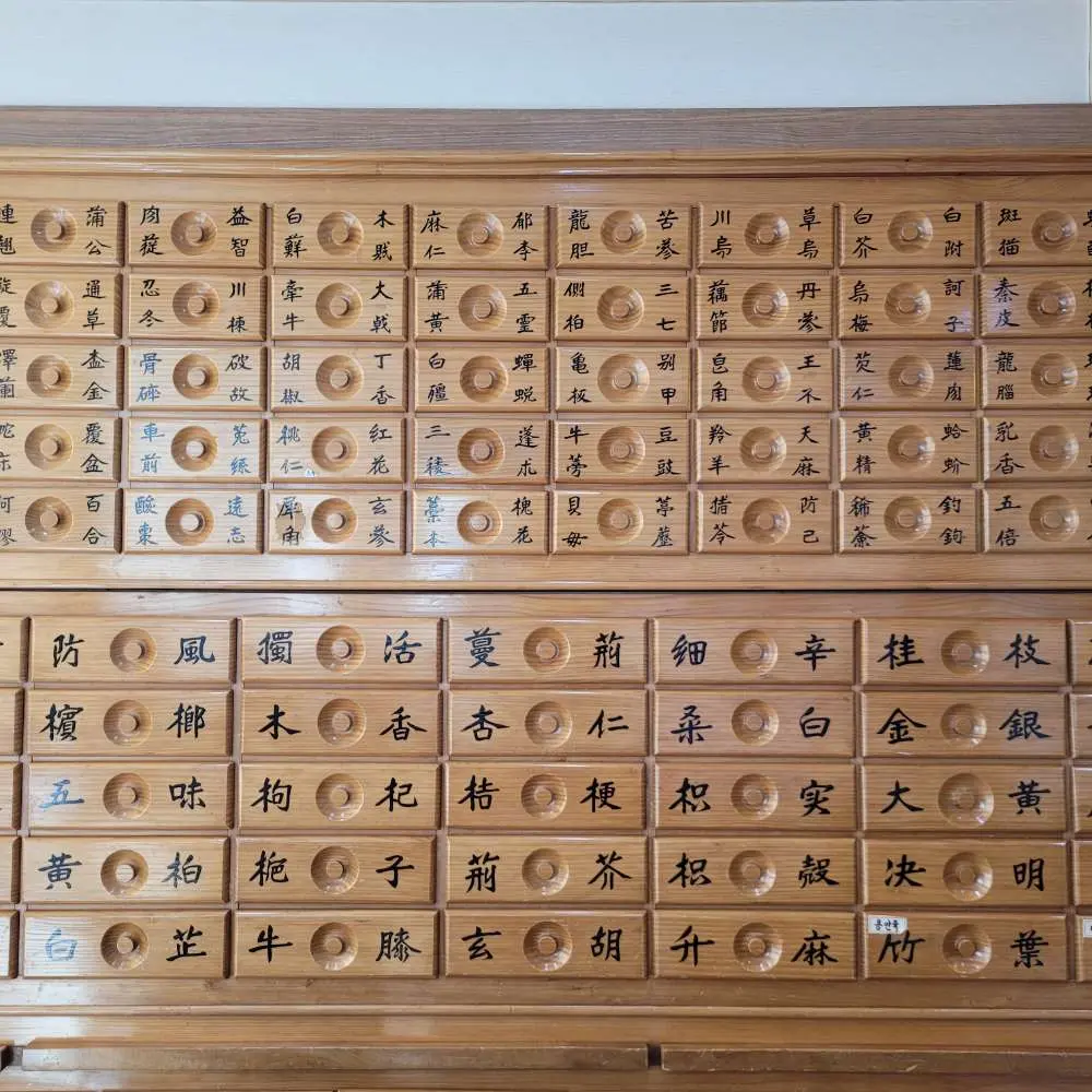 [WAUG X 韓医院] 麻浦 ヌルボム韓医院：1:1 カスタムプレミアム姿勢矯正＆痛みケア