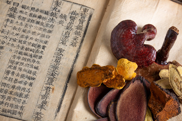 [WAUG X 韓医院] 麻浦 ヌルボム韓医院：1:1 カスタムプレミアム姿勢矯正＆痛みケア