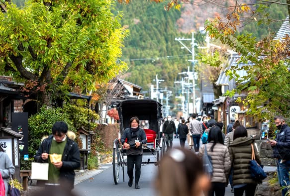 후쿠오카 & 벳부 사파리 투어 (사파리 2회 + 유후인 + 스냅샷 서비스)