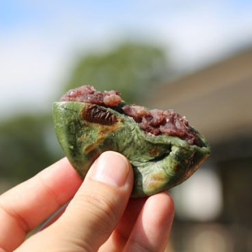 [아이트립] 도쿄 출발: 후지산 하코네 일일 버스 투어