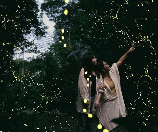 activity_detail_image