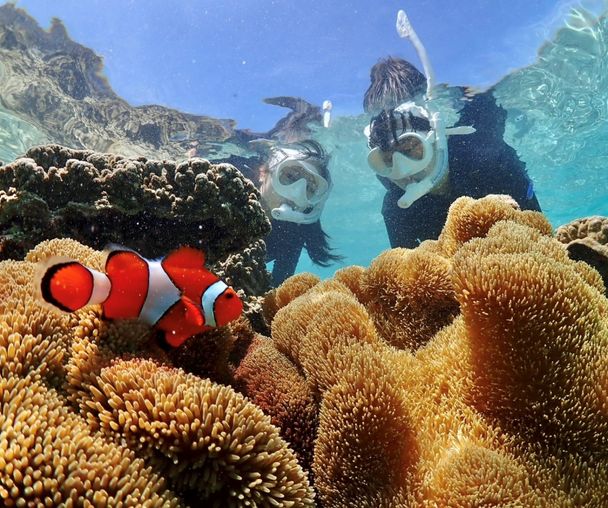 activity_detail_image