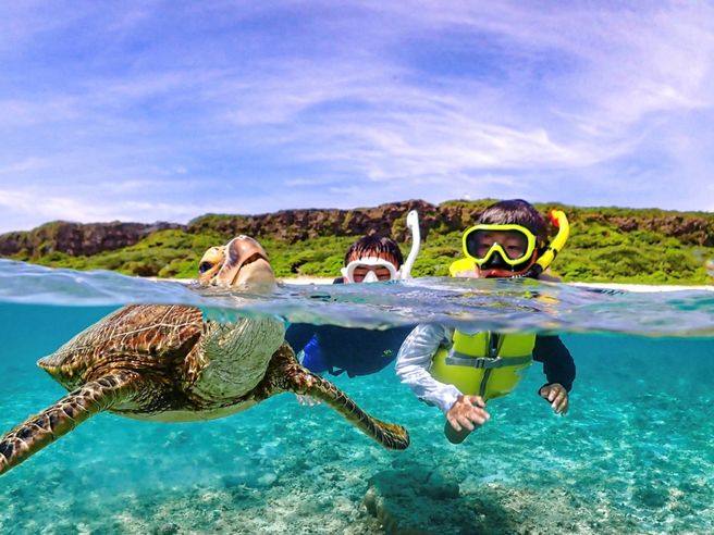 Miyakojima Sea Turtle & Nemo Snorkeling Tour