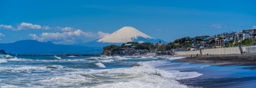 Kamakura & Yokohama Day Tour from Tokyo (Enoden Ticket Included)