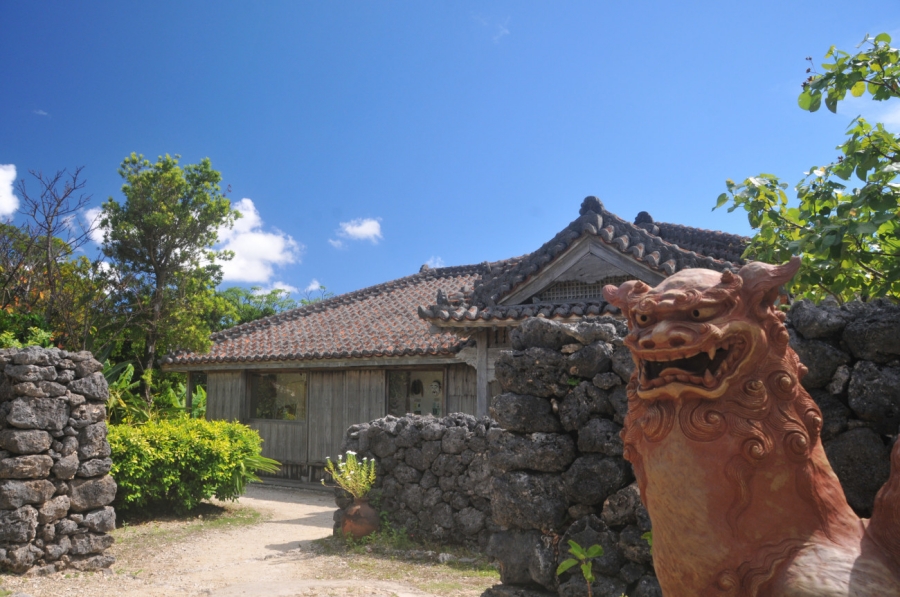 Ishigaki Island Full Day Bus Tour