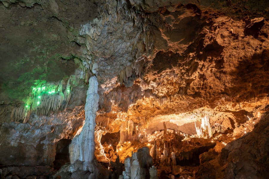 Ishigaki Island Full Day Bus Tour