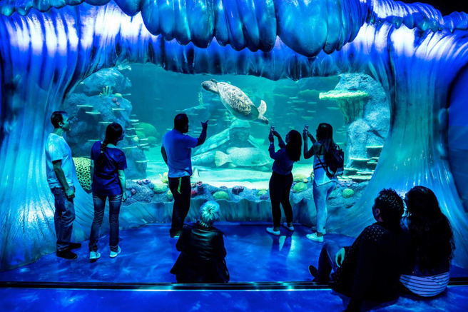 SEA LIFE Sydney Aquarium Ticket