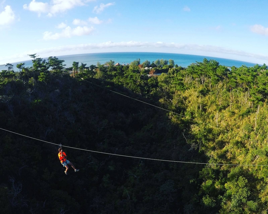 Okinawa Forest Adventure Onna Adventure Course Ticket