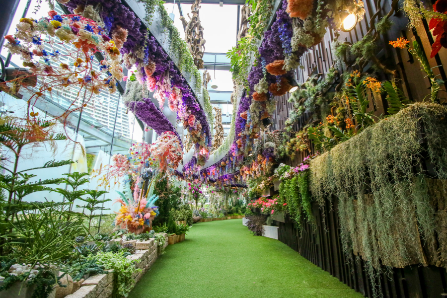 Gardens by the Bay Floral Fantasy Ticket in Singapore (My Little Pony Magic of Friendship / Disney's Garden of Wonders)