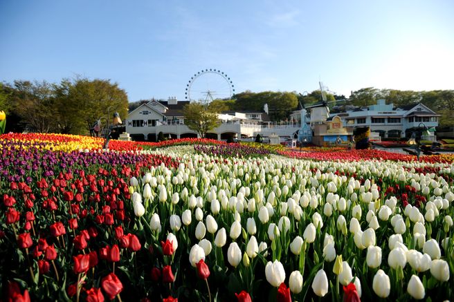 용인 에버랜드 자유이용권 (방문날짜 미지정)
