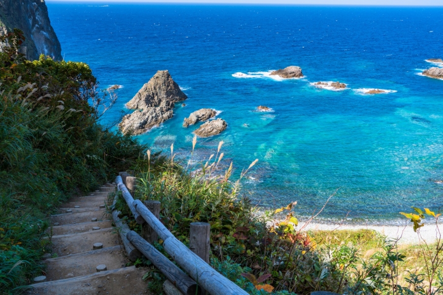 Hokkaido: Summer Day Tour (Cape Kamui, Shimamui Coast, Yoichi Distillery, Otaru)